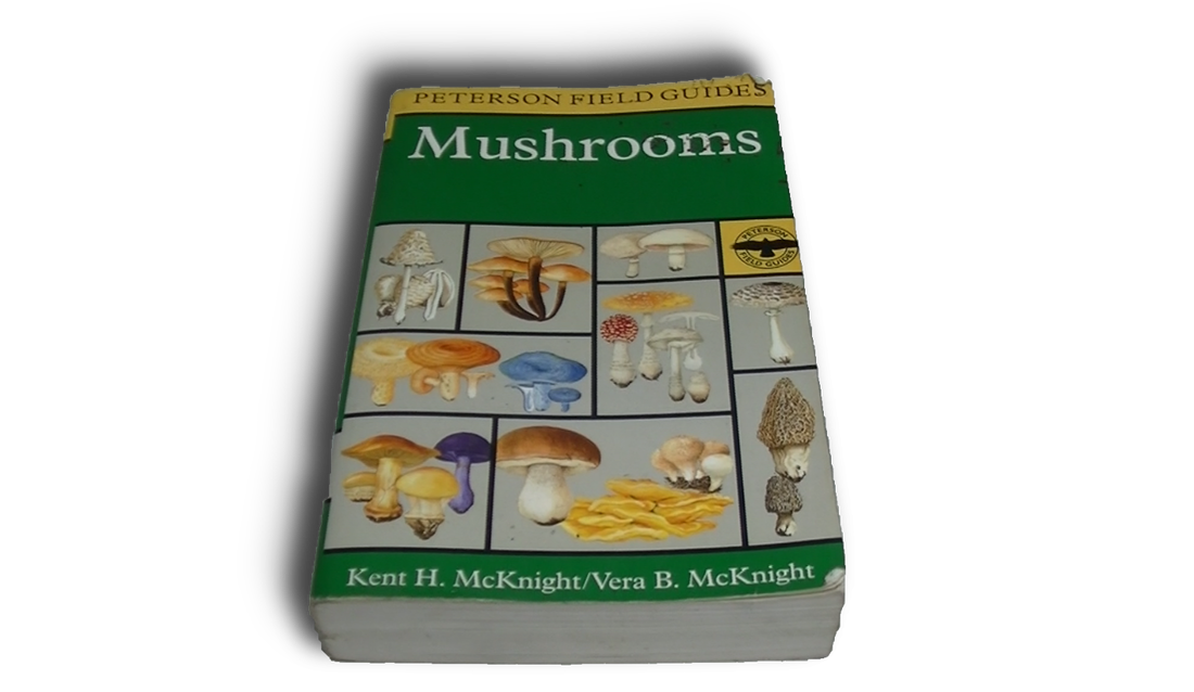 Peterson Guide to Mushrooms